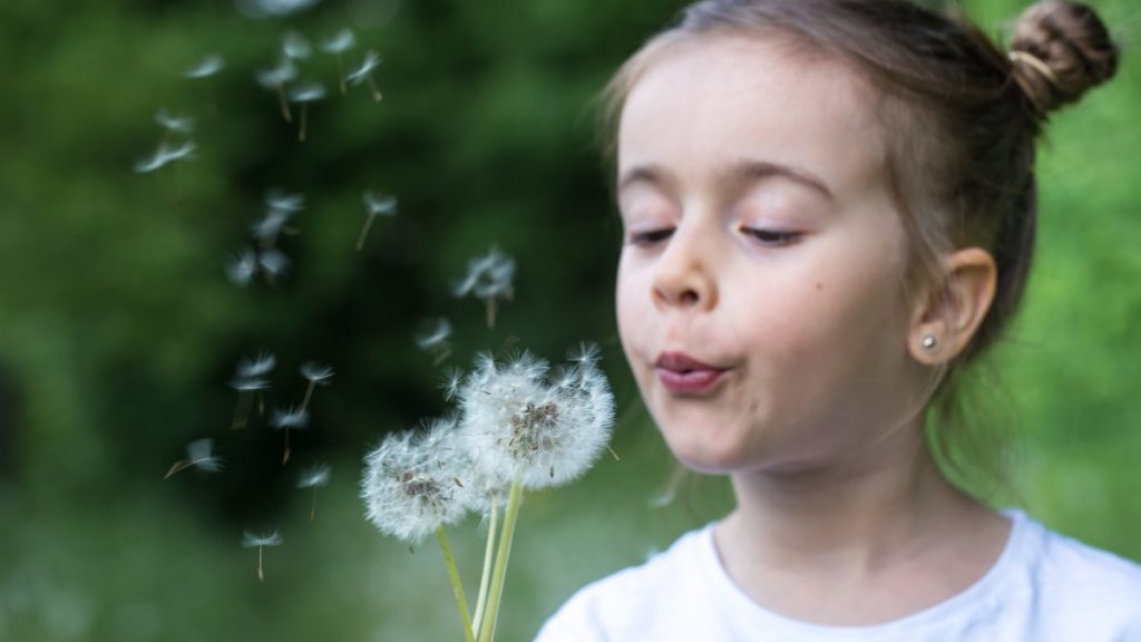 Mevsimi geldi: Polen alerjisi nedir, ne yapmalı?