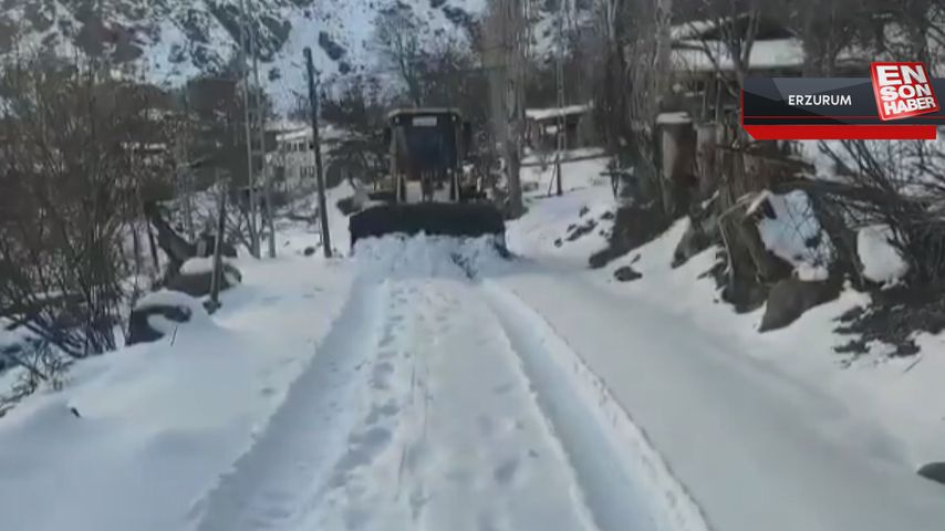 Erzurum'da kara kış devam ediyor: 325 mahalleye ulaşım sağlanamıyor
