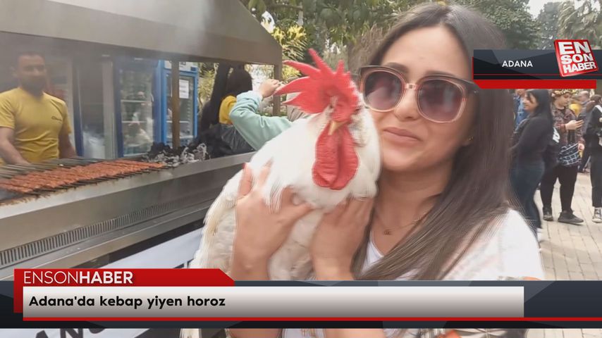 Adana’da kebap yiyen horoz