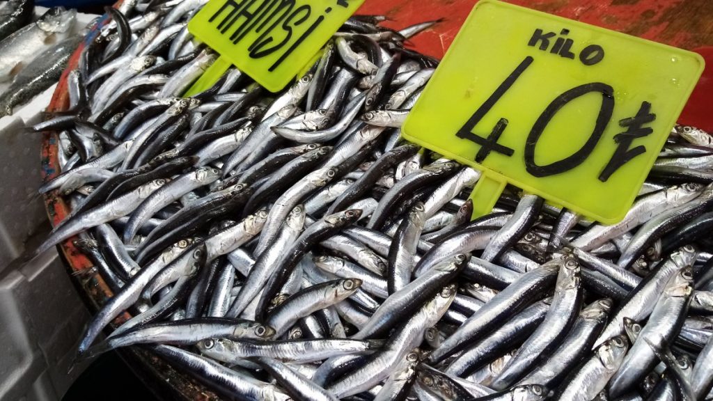 Balıkesir’de hamsinin kulağına kar suyu kaçtı