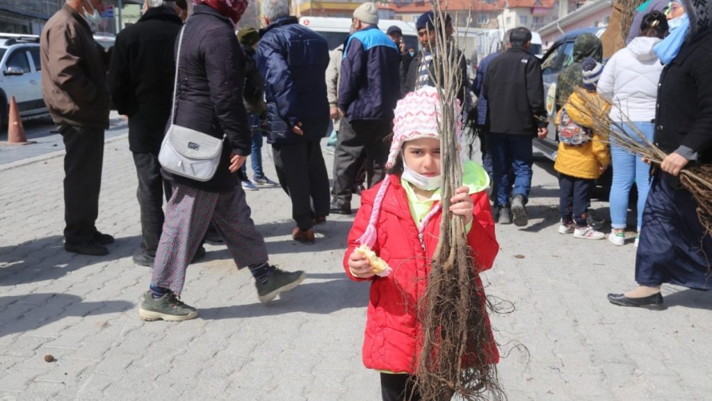 Denizli’de aşılı ceviz fidanı dağıtıldı