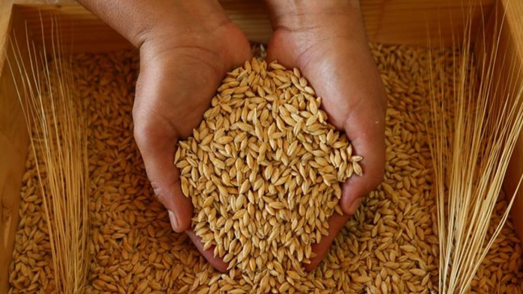 Edirne’de buğday 5 lira 411 kuruş oldu