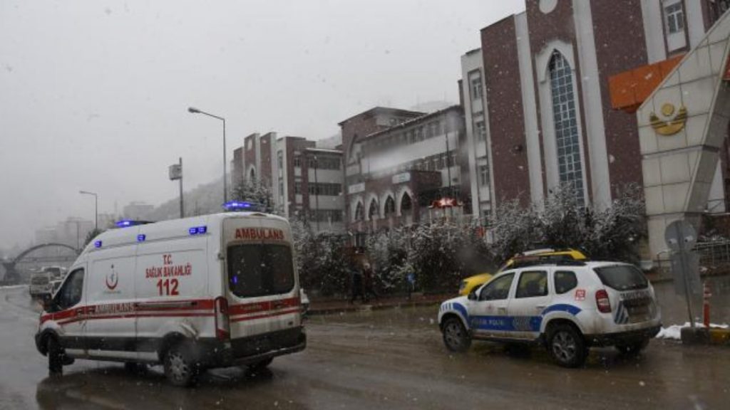 Gümüşhane’de üniversite öğrencisine kamyonet çarptı