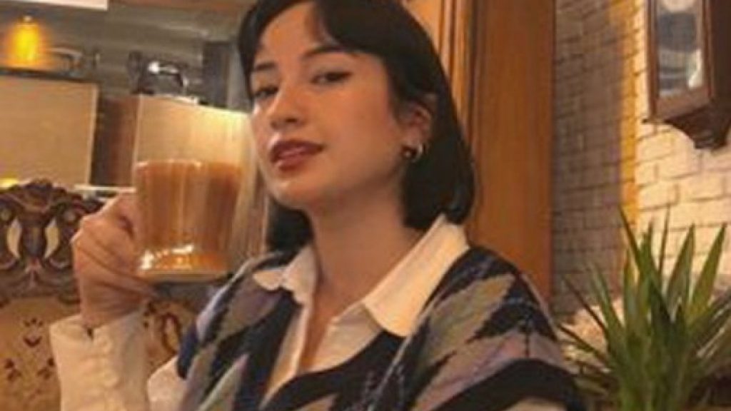 Isparta’da köpekten kaçarken otomobilin çarptığı Rabia, hayatını kaybetti