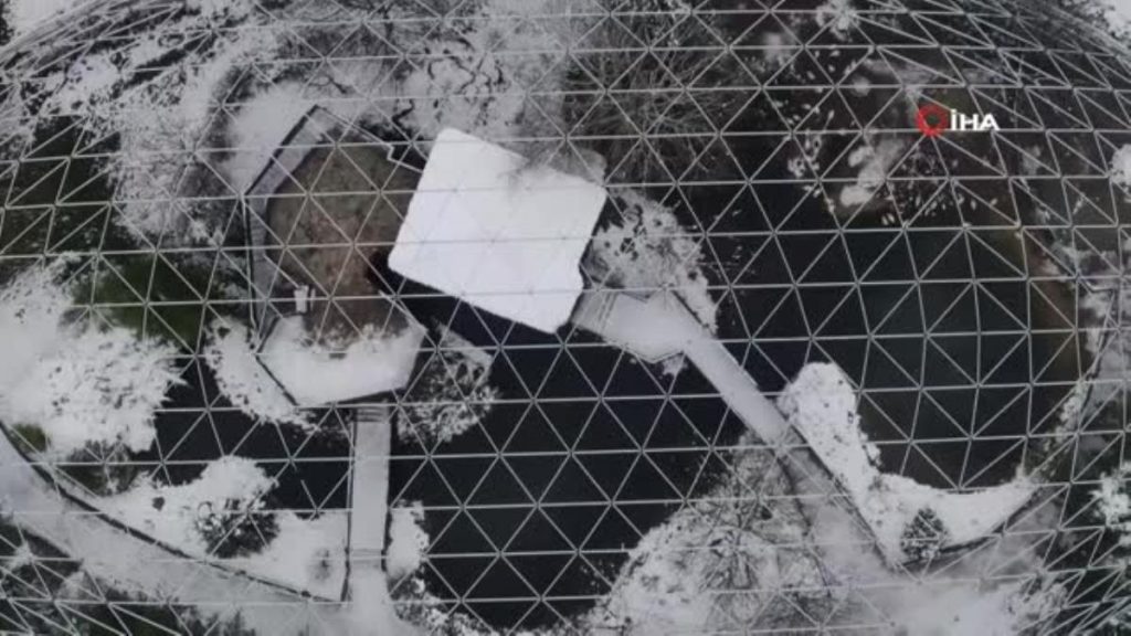 Kar altında penguenlerin beslenme saati…Kimi kalın postu, kimi tüyleriyle yağan karın keyfini çıkarıyor