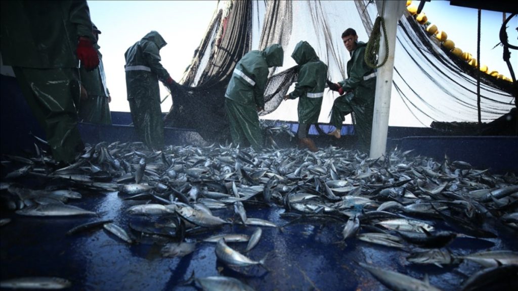 Karadeniz sularında balık tutmak yasaklandı