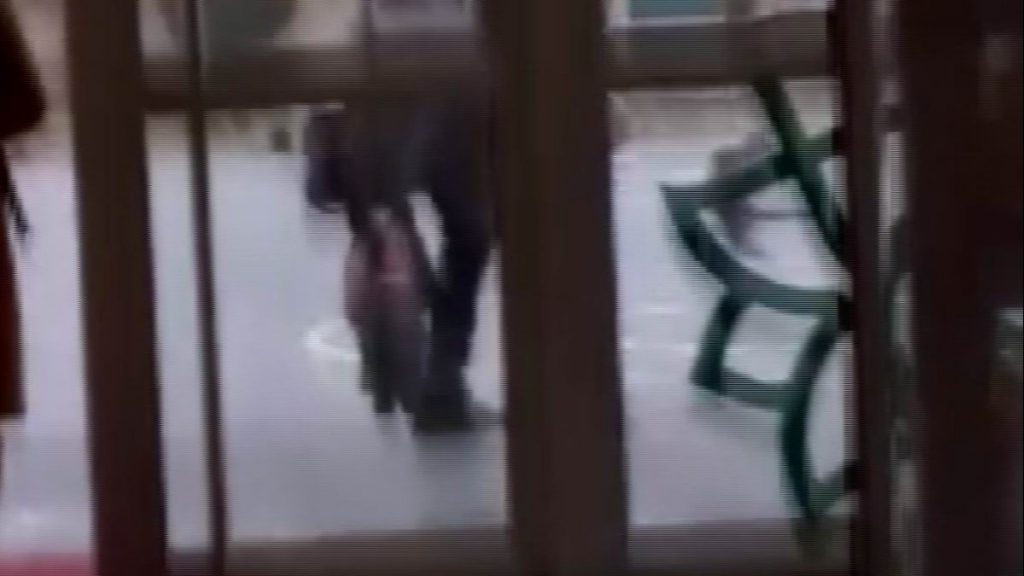 Kayseri’de okul müdürü kediyi tekmeleyip sokağa attı