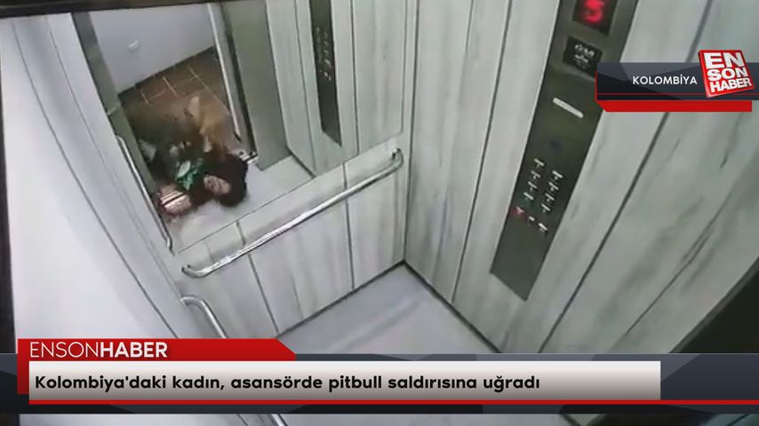 Kolombiya’daki kadın, asansörde pitbull saldırısına uğradı