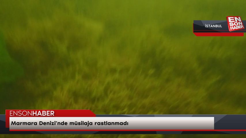 Marmara Denizi’nde müsilaja rastlanmadı