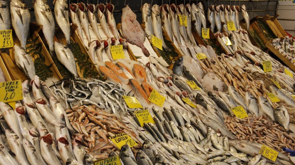 Marmara’da kar yağışı balık fiyatlarını da vurdu