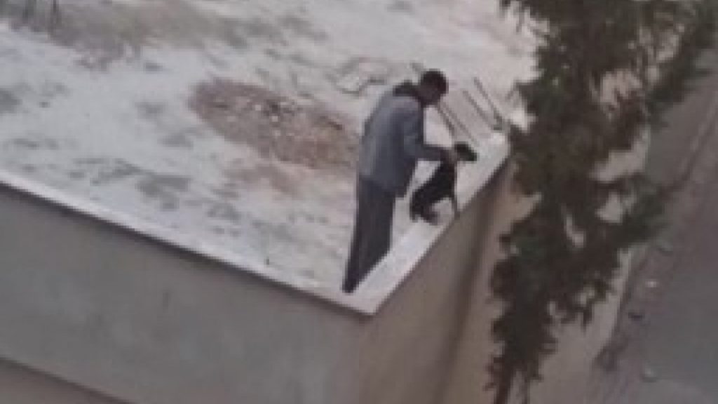 Mersin’de yavru köpeğe kan donduran işkence