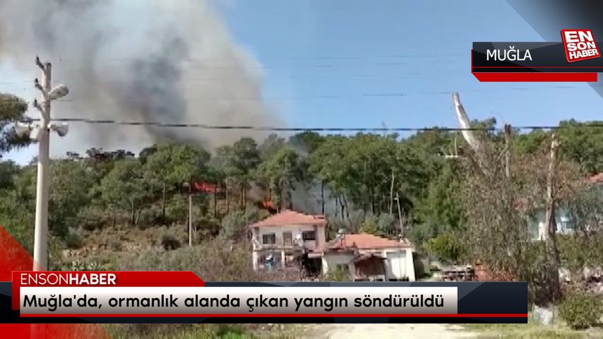 Muğla’da, ormanlık alanda çıkan yangın söndürüldü