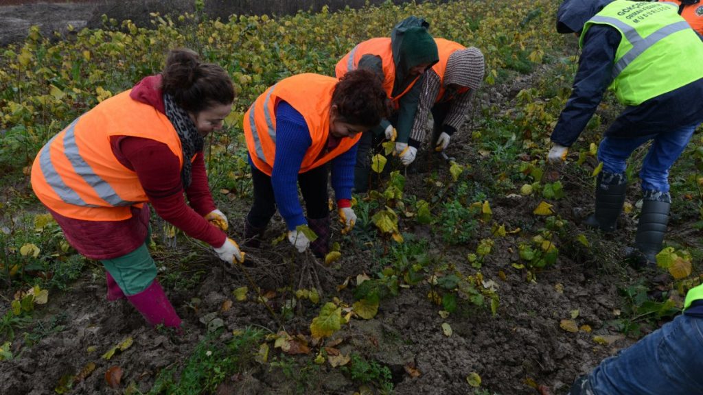 OGM’den kadın üreticilere 8,5 milyon lira destek