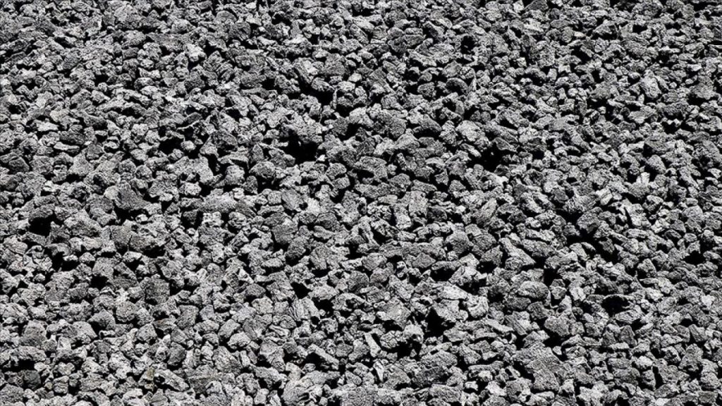 Rusya’nın en büyük kömür şirketinin ana hissedarı, istifa etti