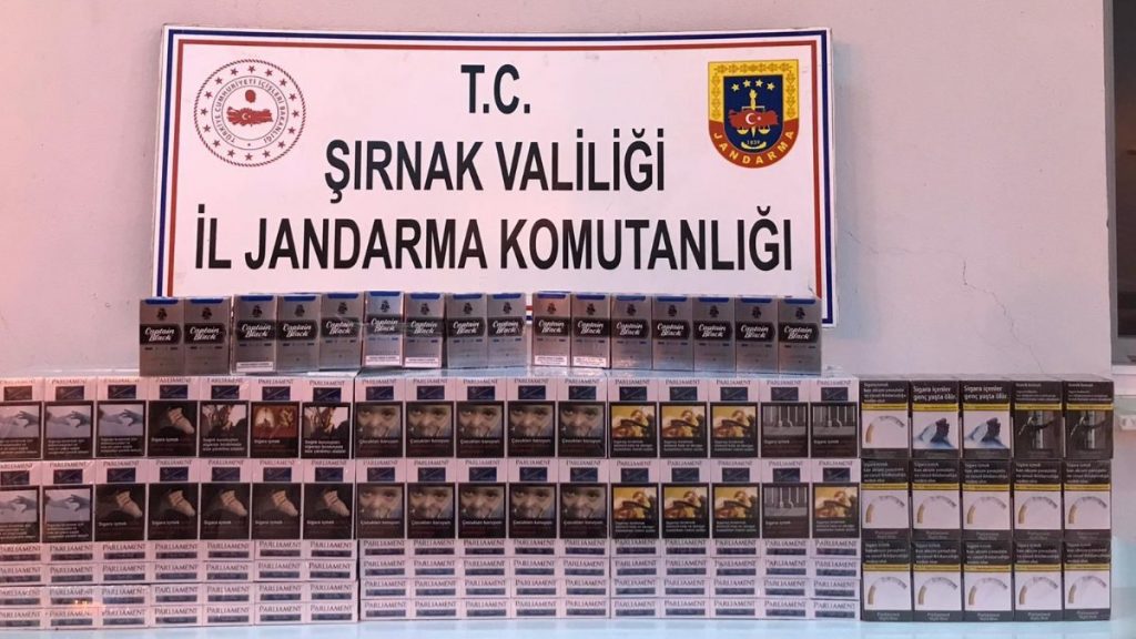 Şırnak’ta asayiş ve kaçakçılık operasyonu: 99 gözaltı