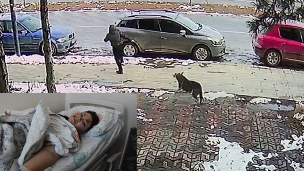 Sivas’ta sokak köpeğinden kaçarken otomobilin çarptığı çocuk taburcu oldu