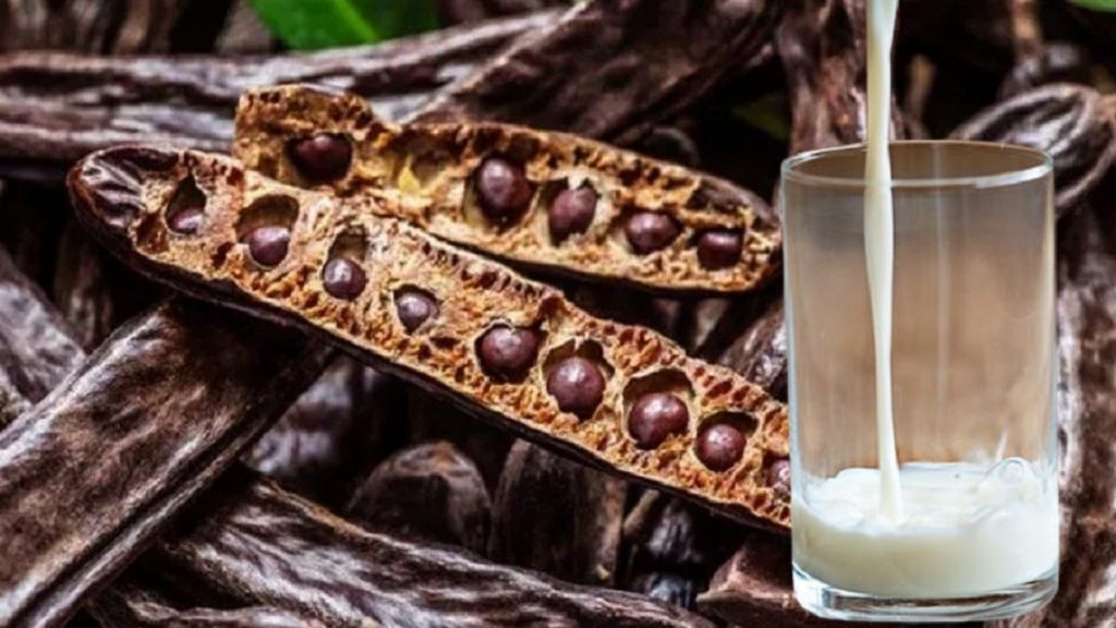 Süte keçiboynuzu ekleyip 2 ay için! Bakın nelere şifa oluyor