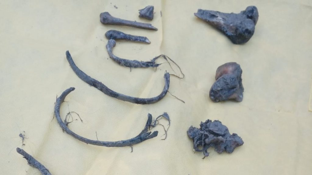 2006 yılında kayıp olarak aranan kadının kemikleri su kuyusunda bulundu