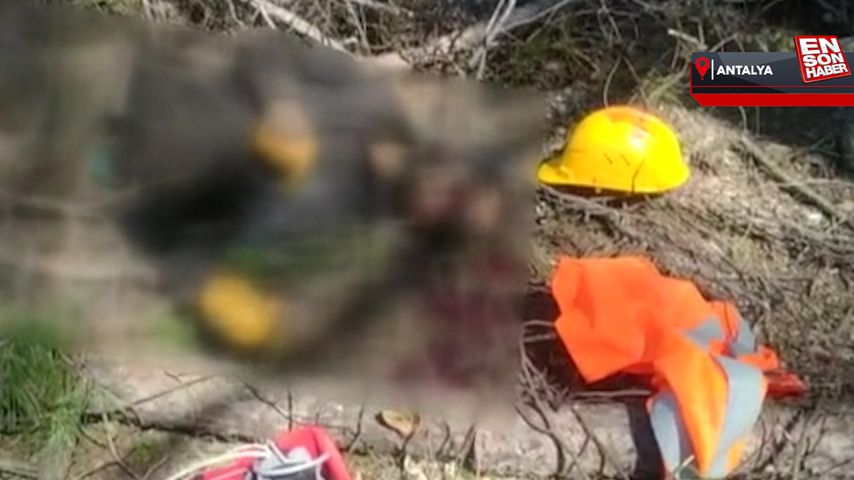 Antalya’da arkadaşının kestiği ağaç üzerine düşünce öldü