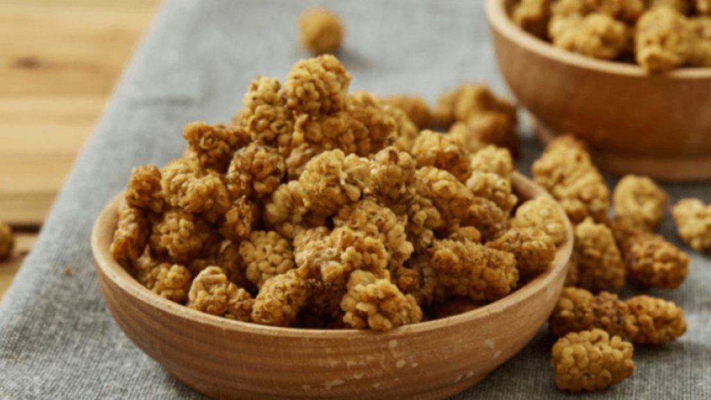 Bağırsakları makine gibi çalıştıran kür! Kuru dut ve yoğurt karışımı..