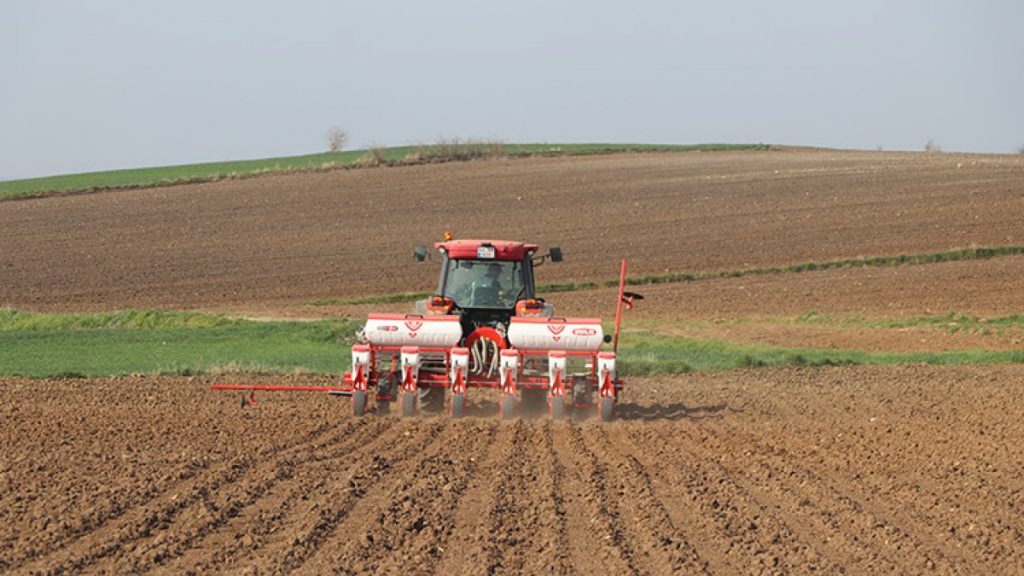 Edirne’de ayçiçeği ekim mesaisi başladı