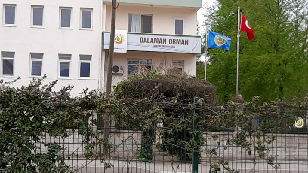 Muğla’daki rüşvet operasyonunda orman müdürü dahil 25 gözaltı