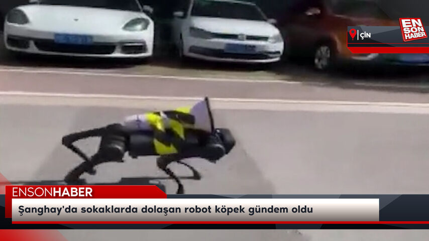 Şanghay’da sokaklarda dolaşan robot köpek gündem oldu