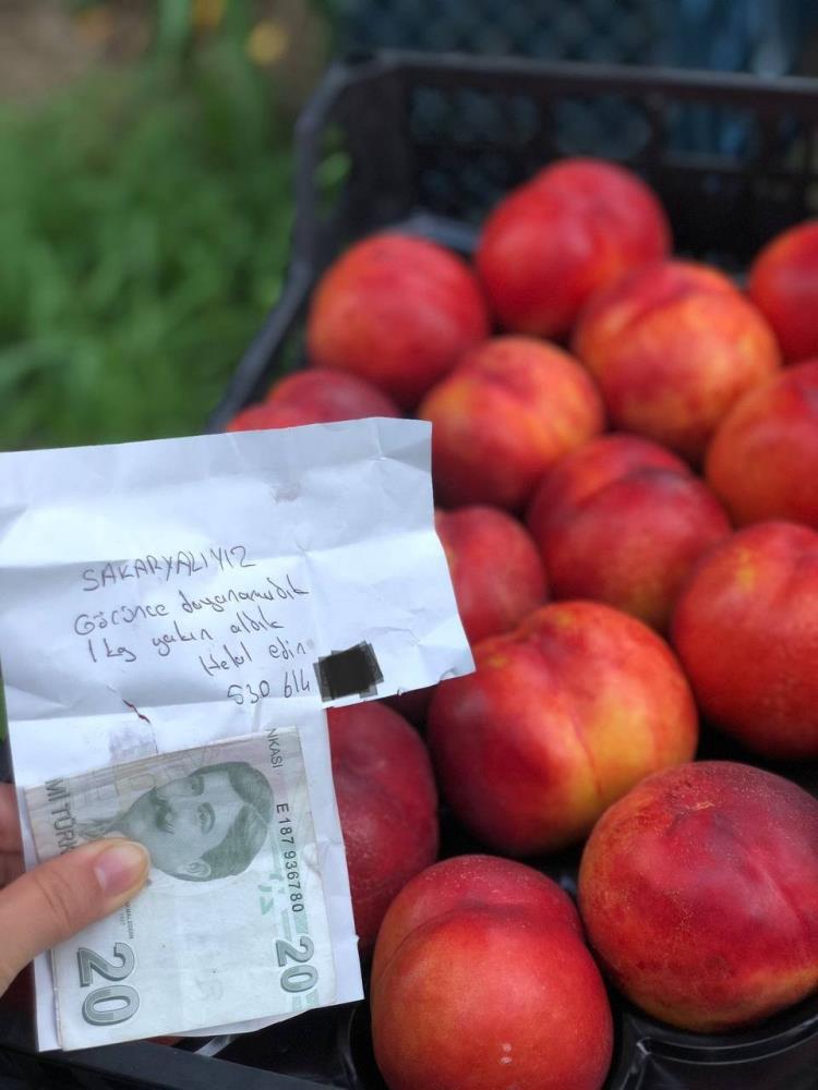 Ağaçtan topladığı şeftaliler için not ve para bıraktı