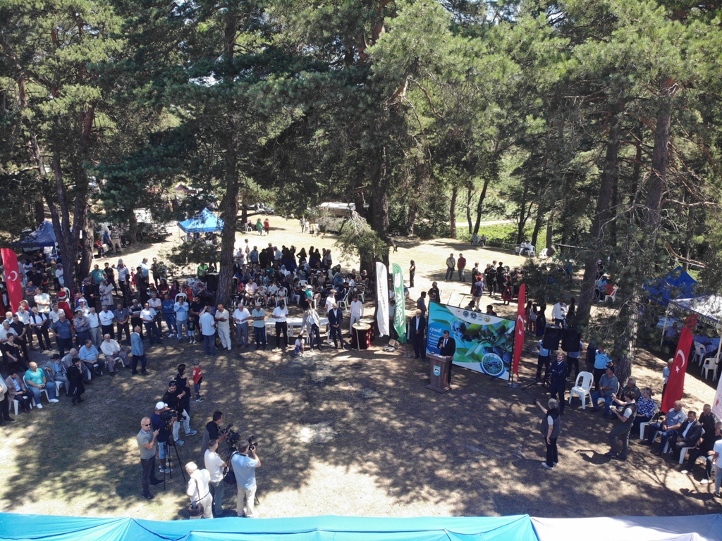 MAVİYEMİŞ FESTİVALİ YOĞUN KATILIMLA GERÇEKLEŞTİ￼