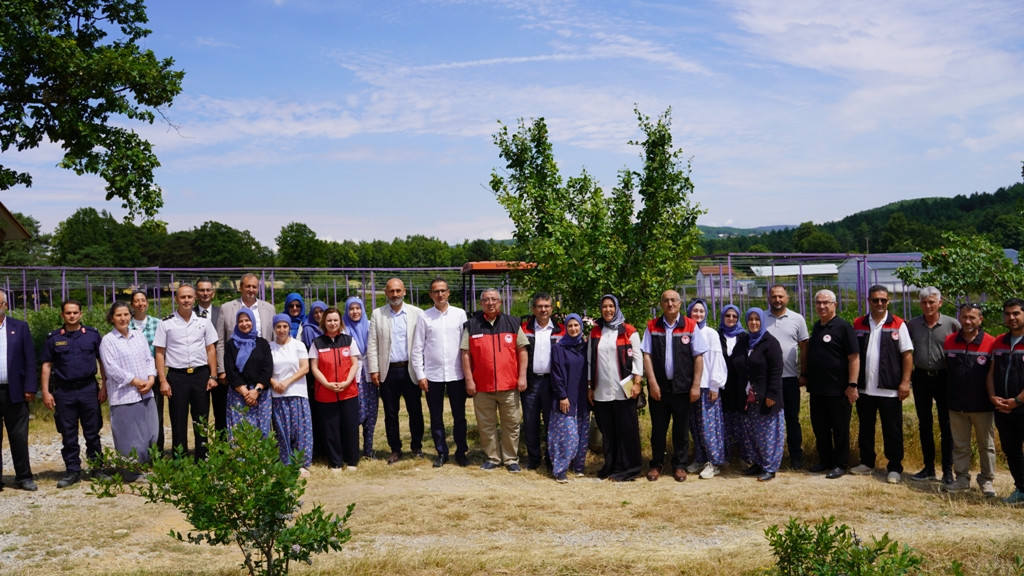 İznik’te Maviyemiş Hasadı Başladı
